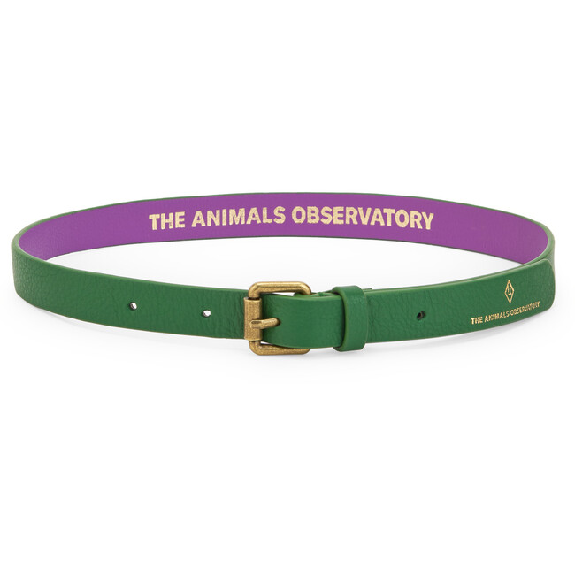 Ibis Thin Belt, Green
